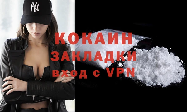 МДПВ Каменногорск