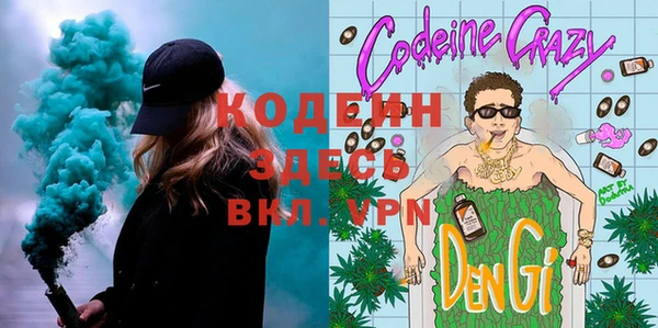 МДПВ Каменногорск