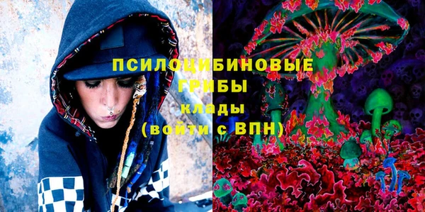 МДПВ Каменск-Шахтинский