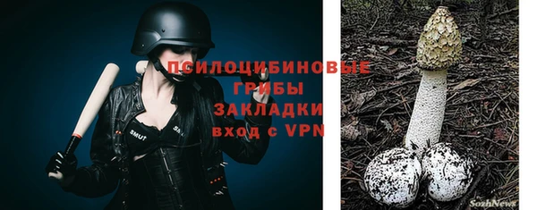 a pvp Каменка