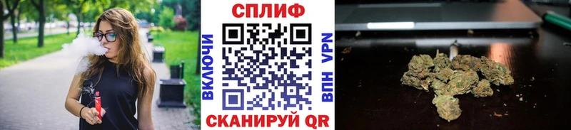 Купить закладки  Зеленоградск  Канабис план 